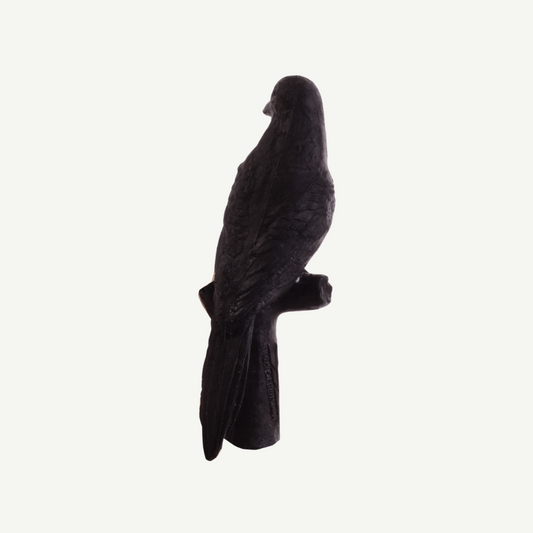 IBB 3D Target carrion crow