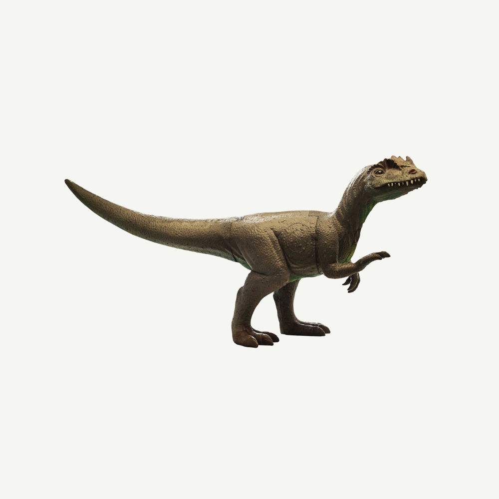 IBB 3D Tier Raptor