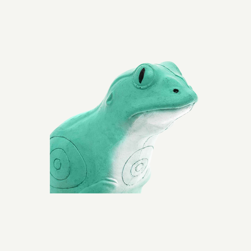 100487 IBB 3D Target Water Frog