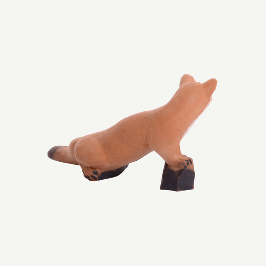 IBB 3D Target walking beech marten