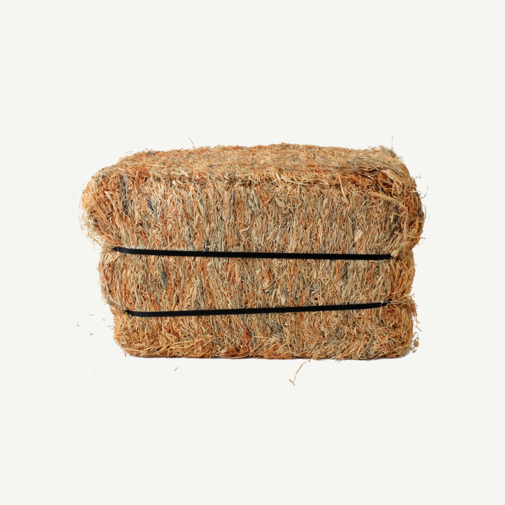 Wood Wool Target Big 30 kg
