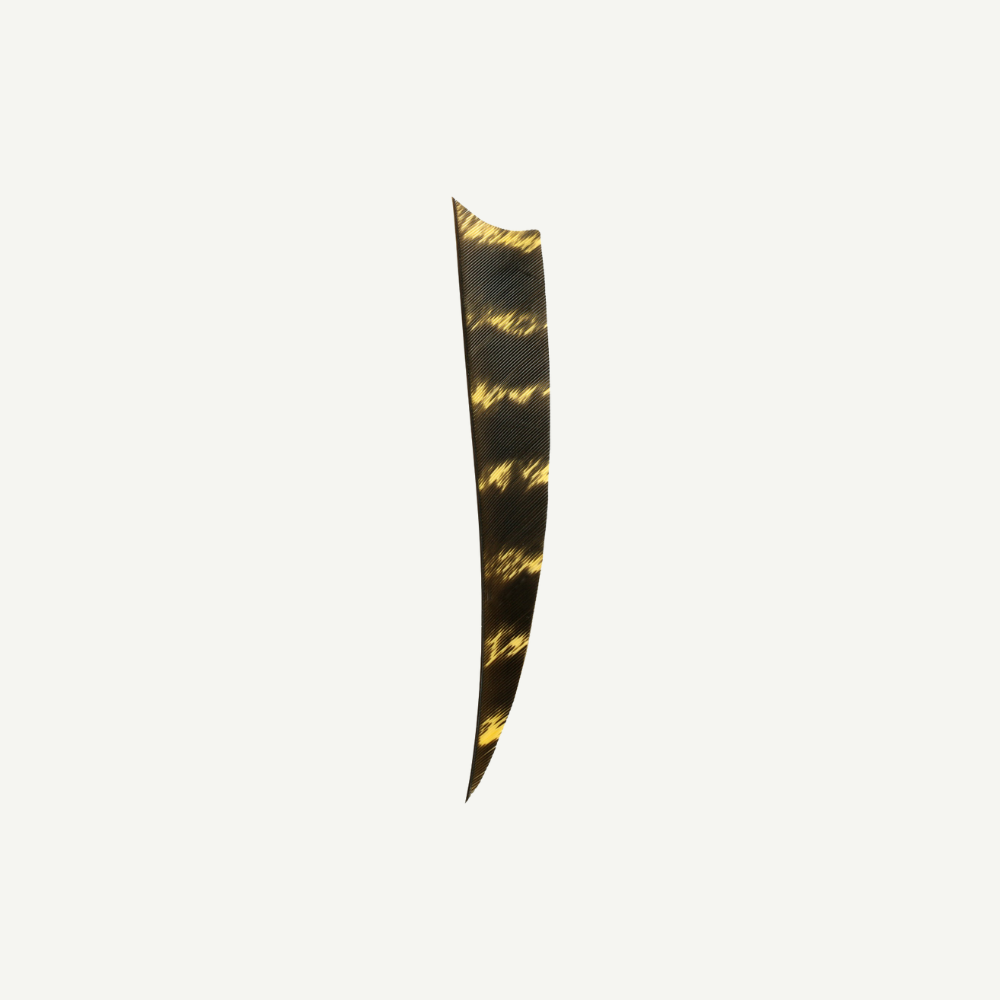Feather RW Shield 4 inch natural barred