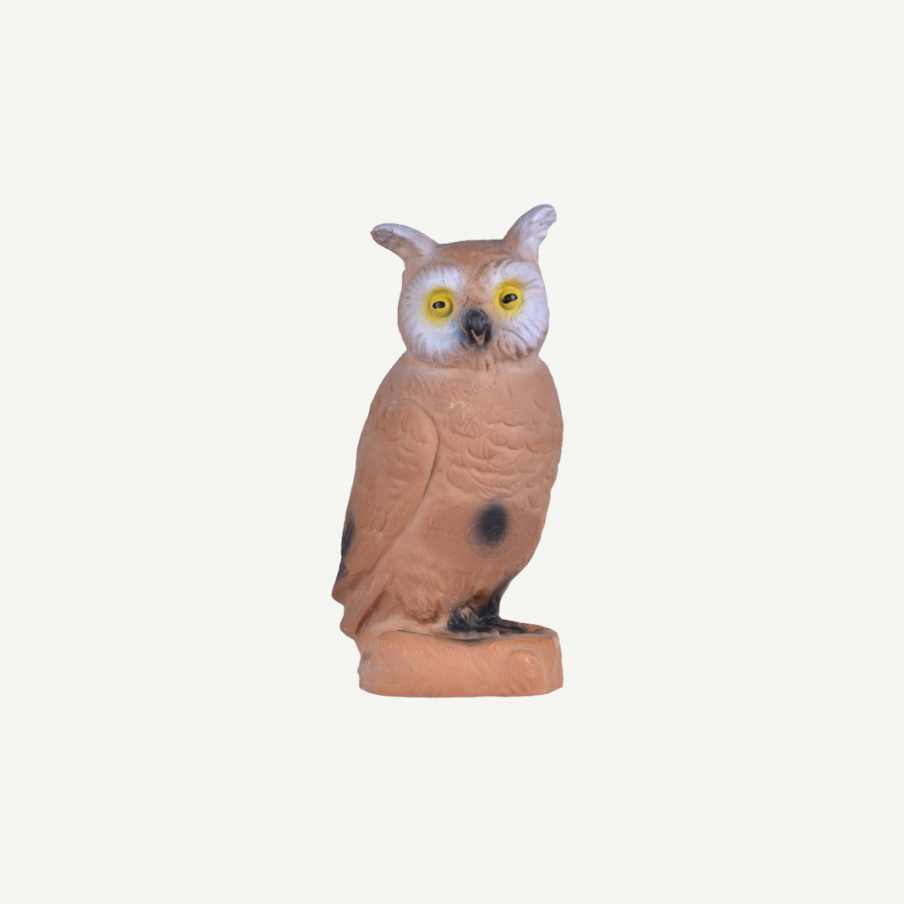 Longlife Little Owl