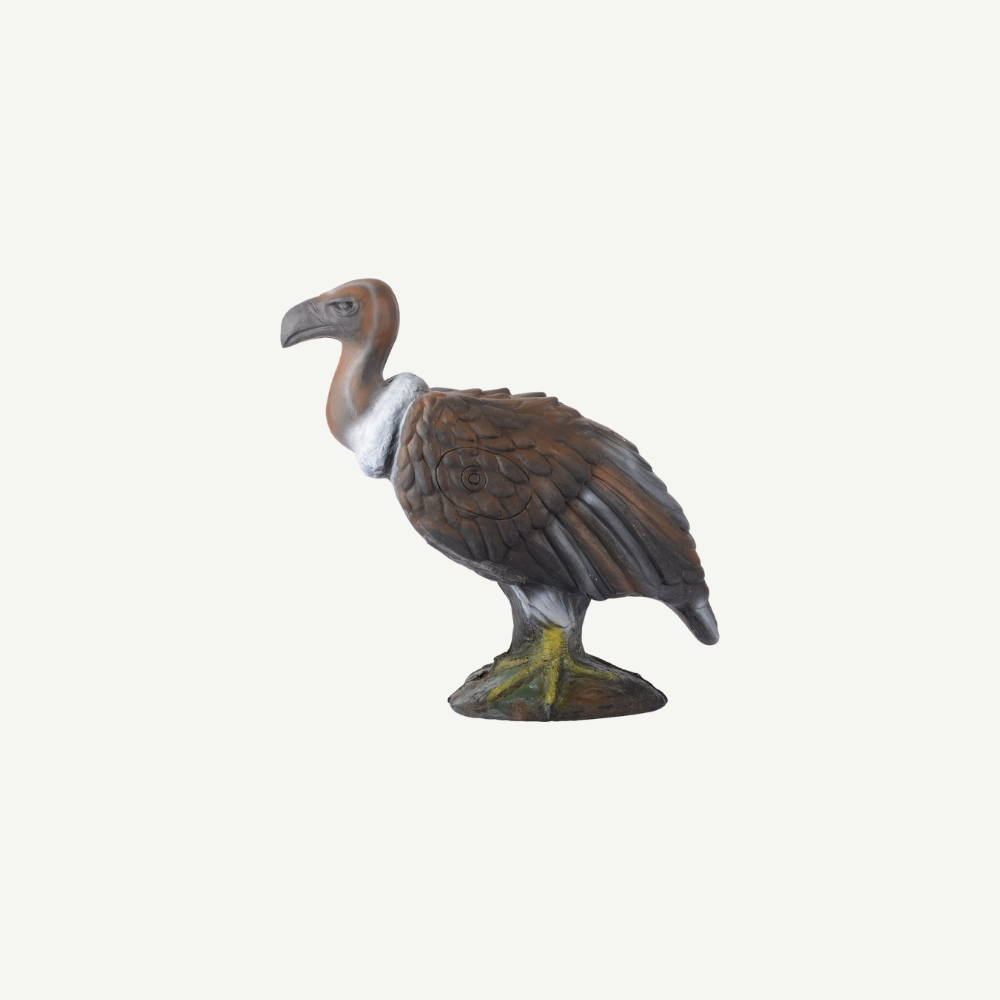 Longlife Monk Vulture