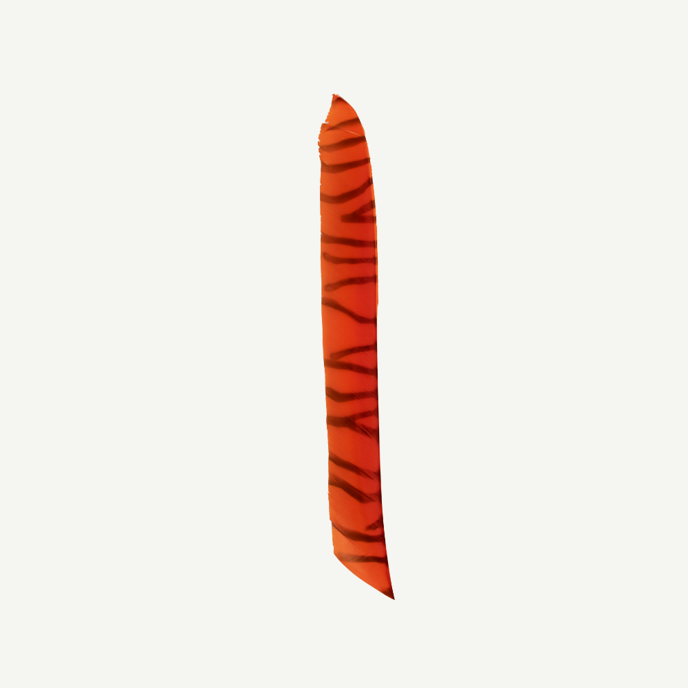 Feather RW Full Length zebra