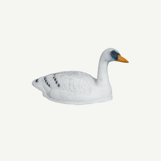 Leitold Schwan