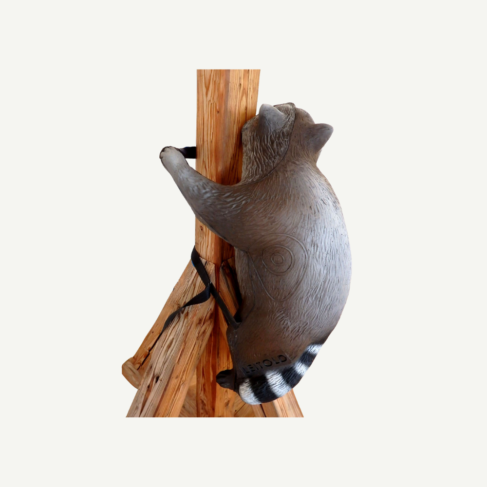 Leitold Waschbär kletternd mit Gurt