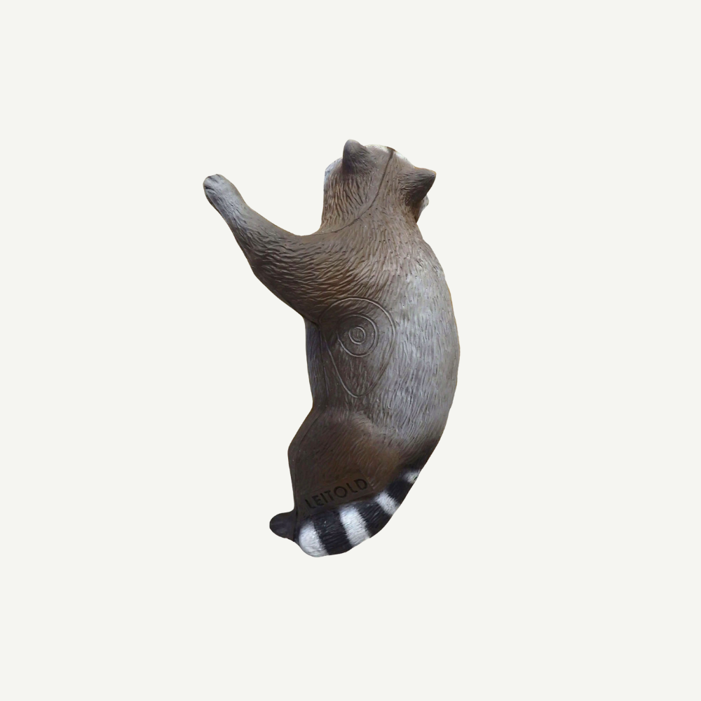 Leitold Climbing Raccoon