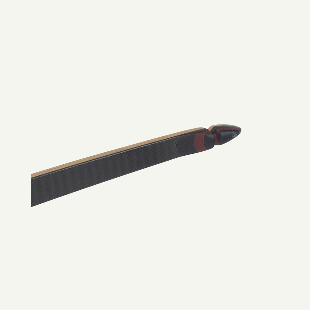 Bodnik Raven Carbon Longbow