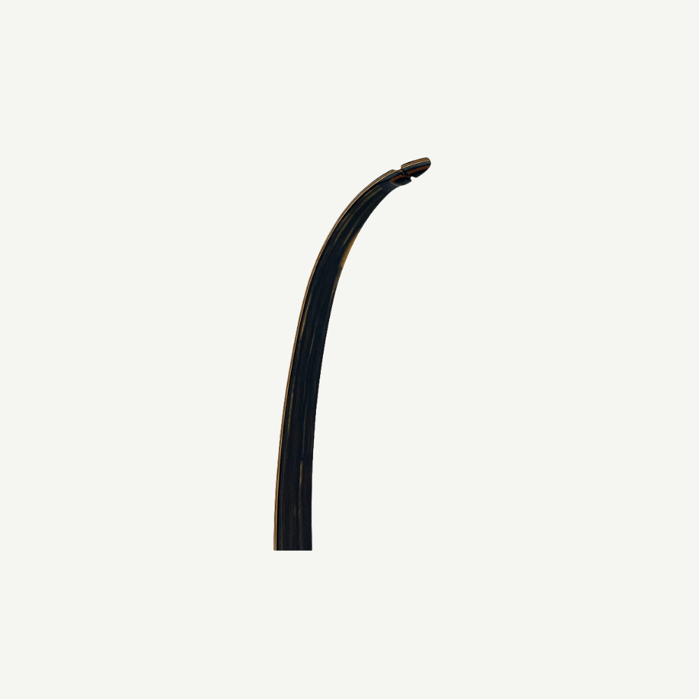Bodnik Redman Recurve Bow
