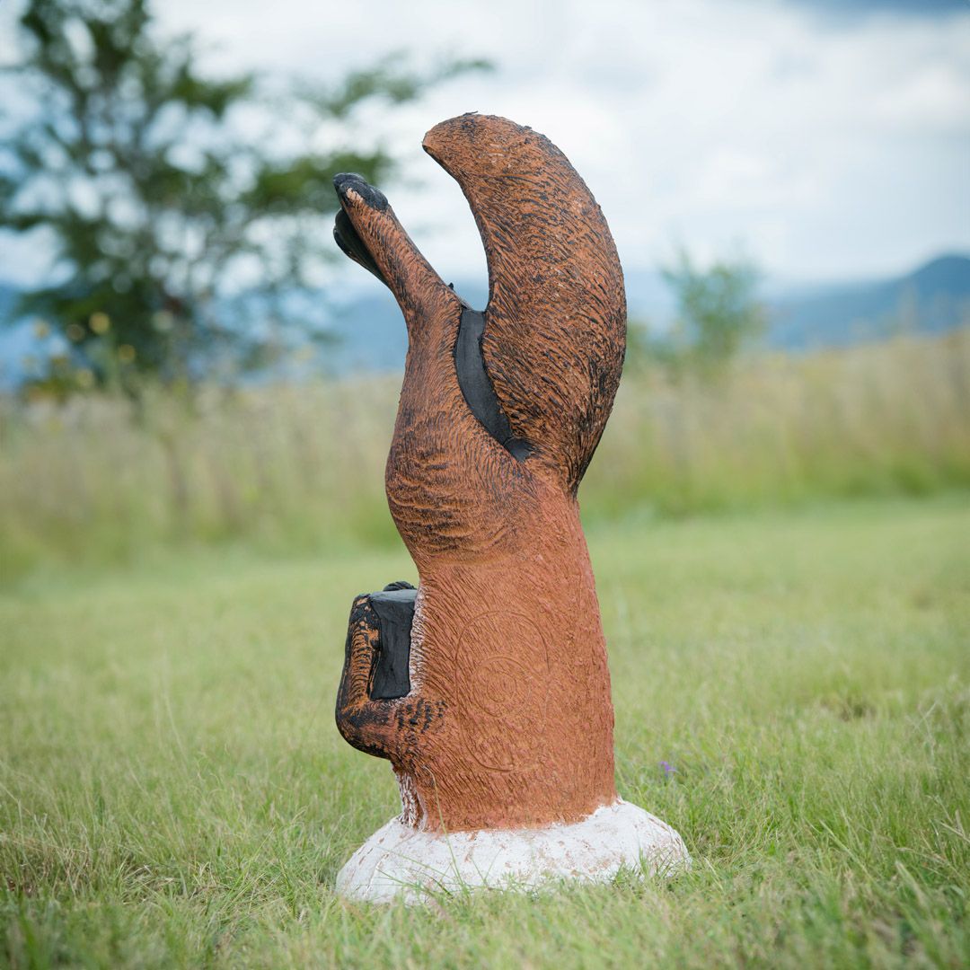 Wildcrete 3D Target - Fox Digging