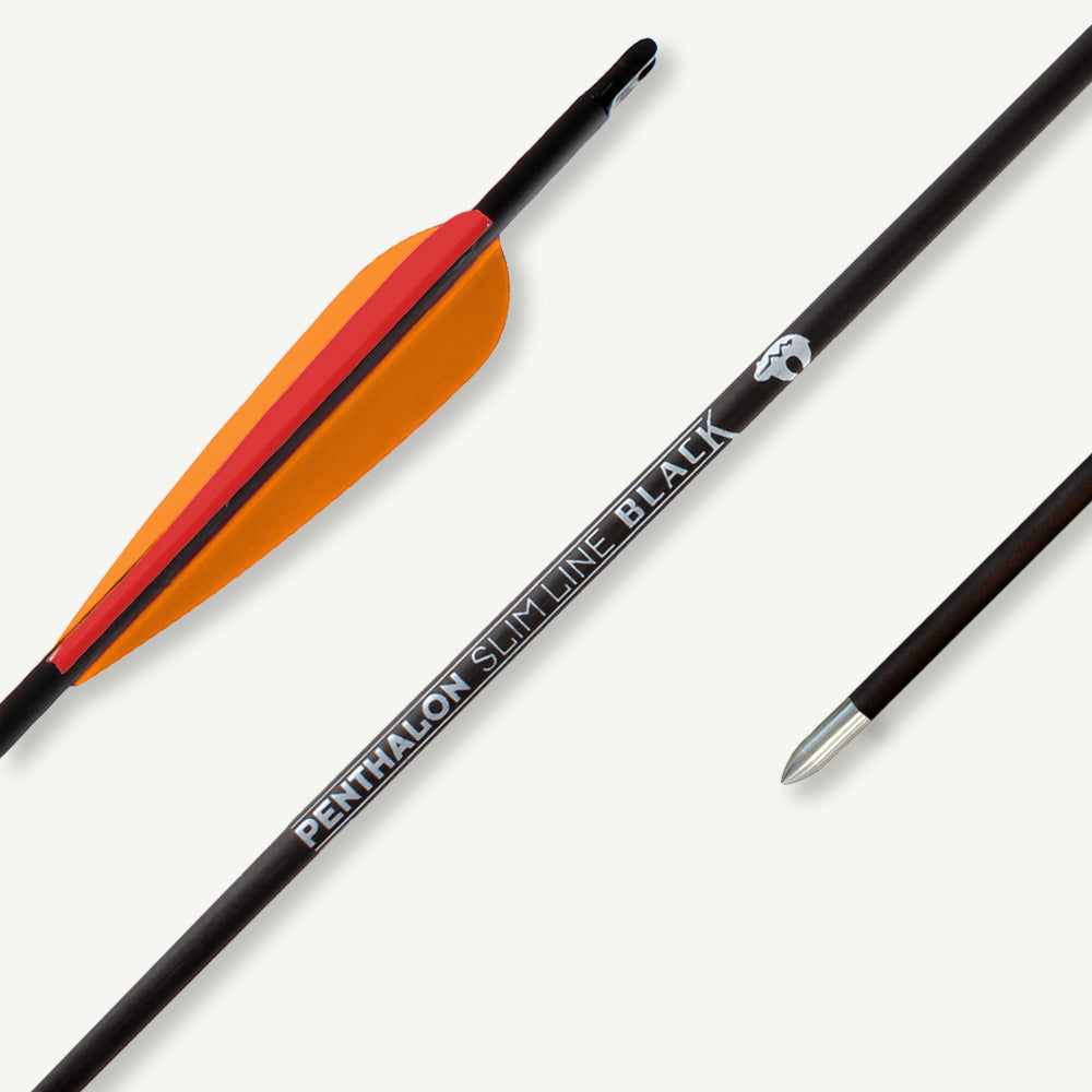 Penthalon Carbon Arrows Slim Line Black Fletches