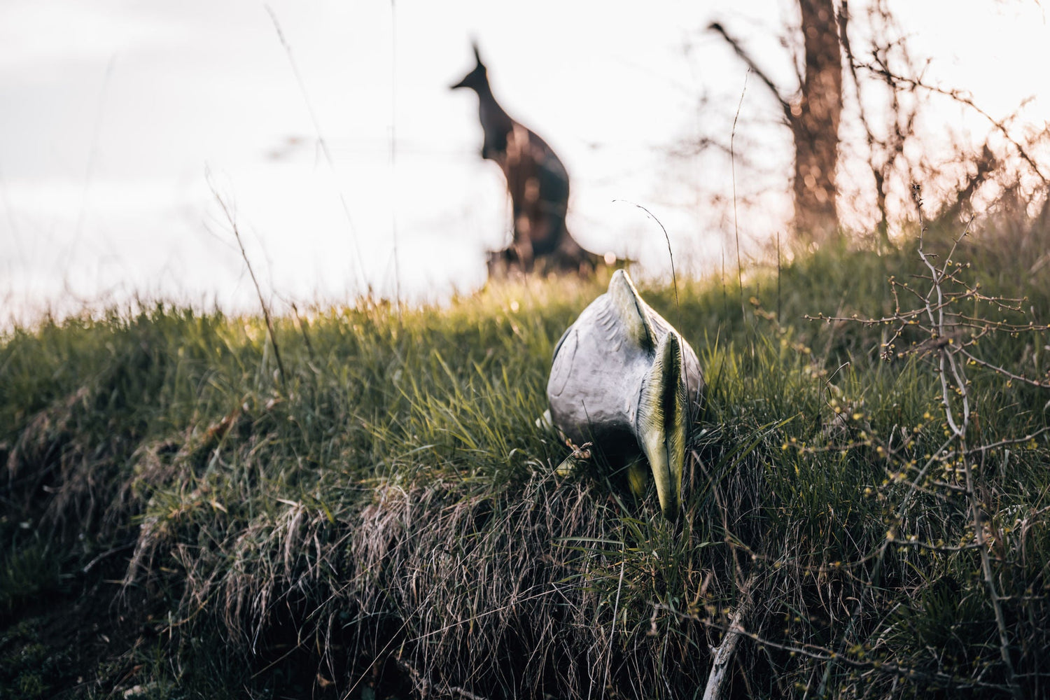 3D Tiere