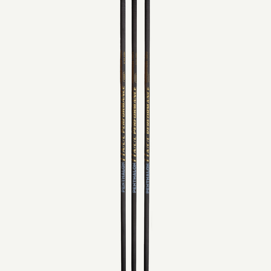 100406 Penthalon Performance A/C/C Aluminium-Carbon Schaft (12 St.)
