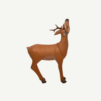 Longlife Grazing Roebuck