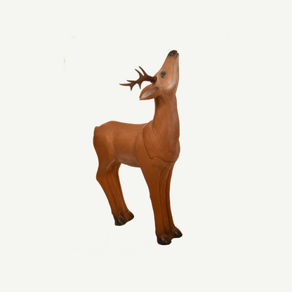 Longlife Grazing Roebuck