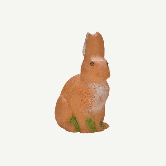 IBB 3D European hare