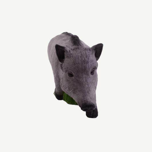 IBB 3D target young wild boar