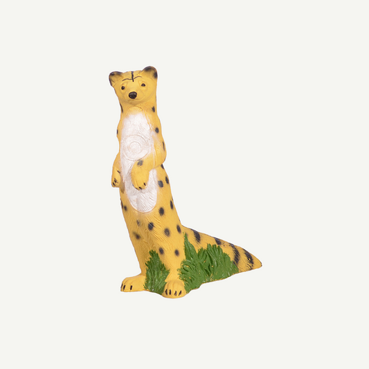 IBB 3D-Target Genet