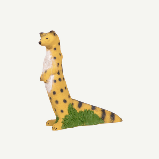 IBB 3D-Target Genet