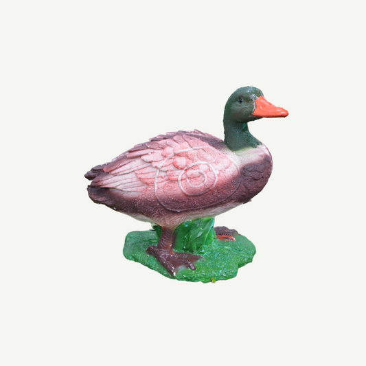 IBB 3D Target Drake