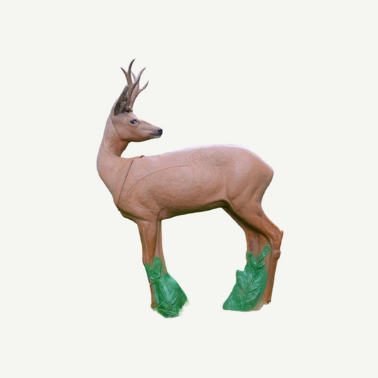IBB 3D Target Roebuck looking backwards