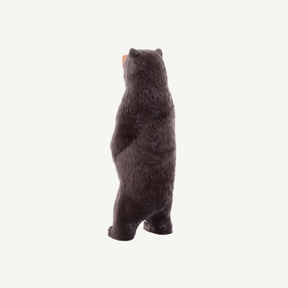 IBB 3D Tier kleiner Kragenbär