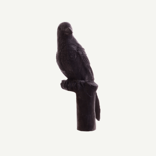 IBB 3D Target carrion crow