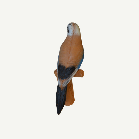 IBB 3D Target Jay