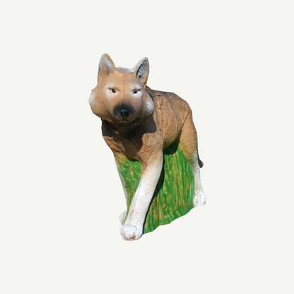 IBB 3D Target wolf pup
