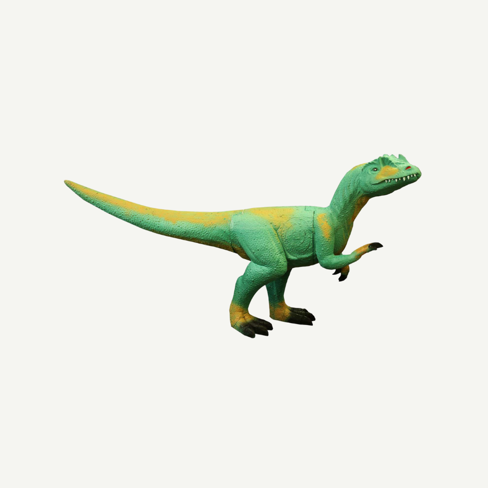 IBB 3D Tier Raptor