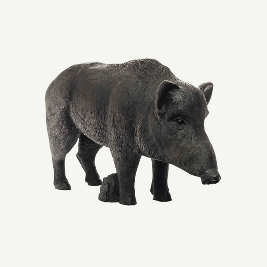 IBB 3D old adults Wild Boar Sow