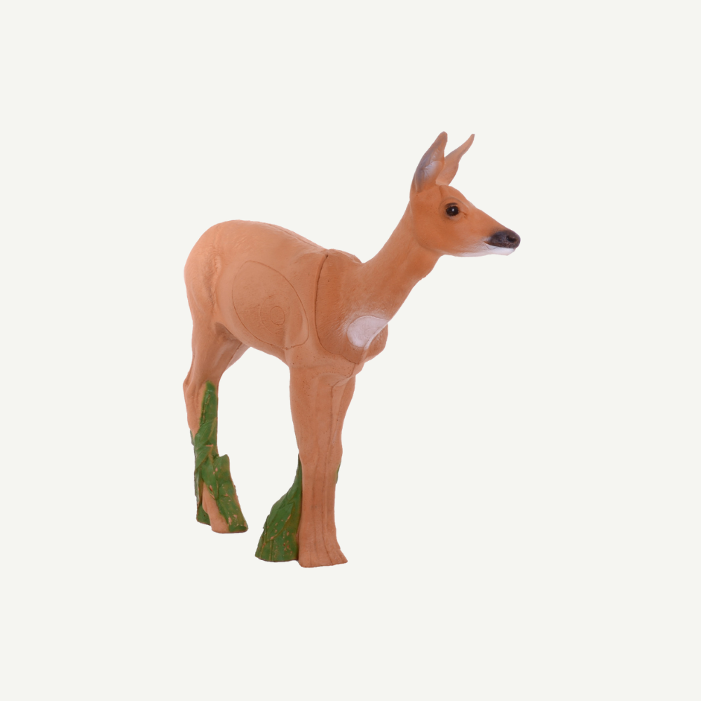 IBB 3D Target Doe
