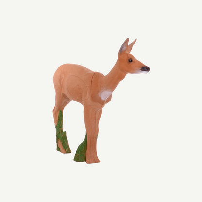 IBB 3D Target Doe