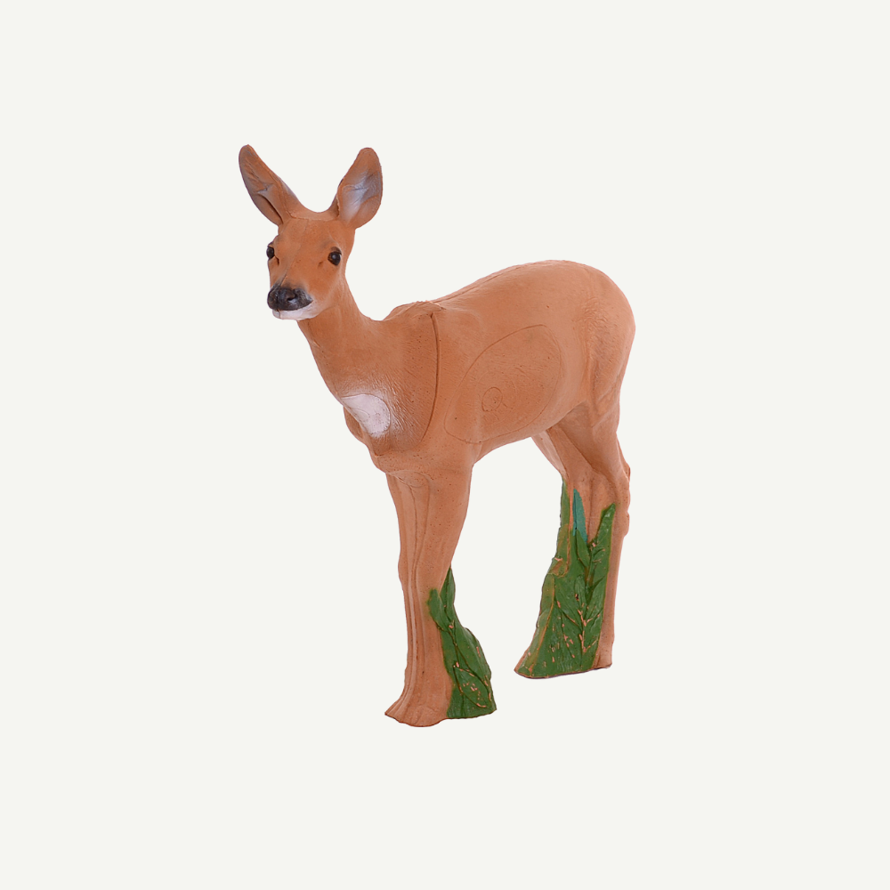 IBB 3D Target Doe