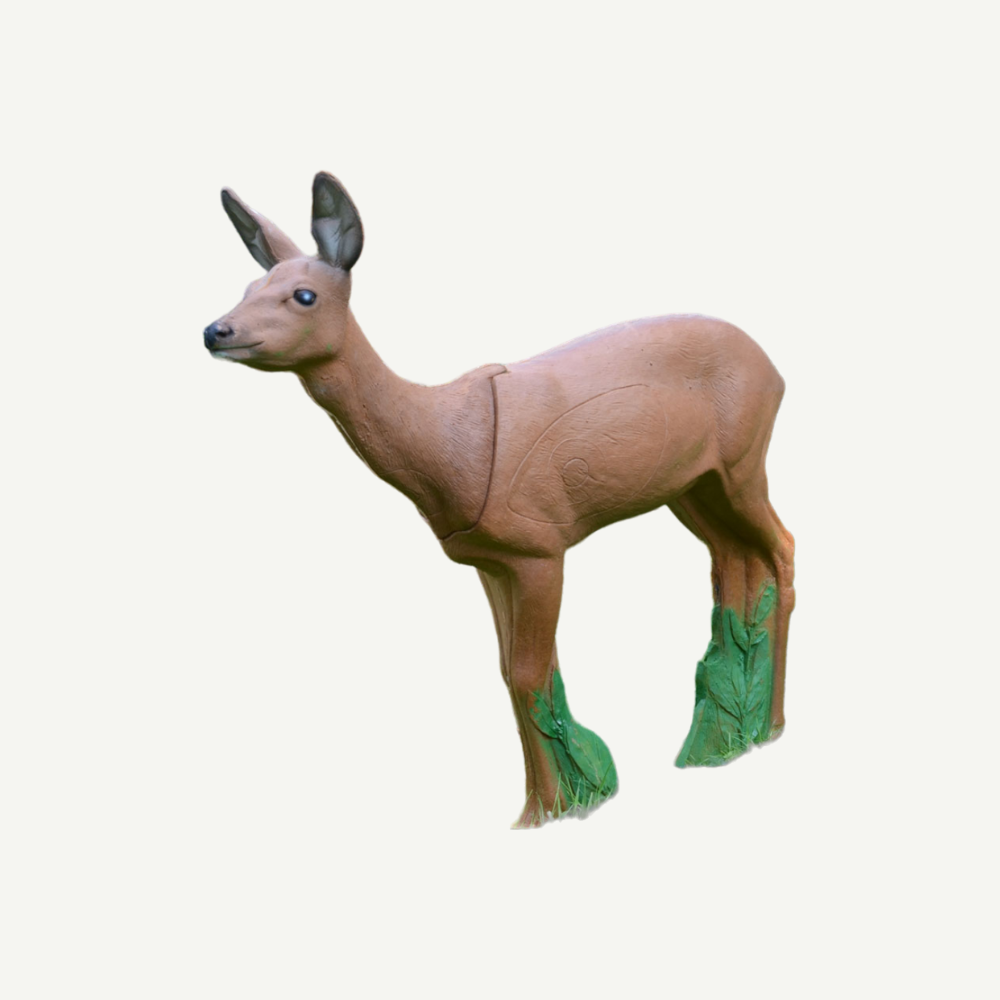 IBB 3D Target Doe