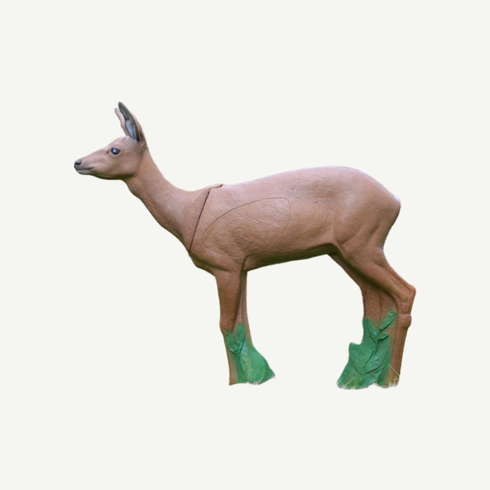 IBB 3D Target Doe