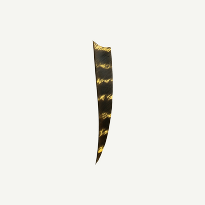 Feather RW Shield 4 inch natural barred