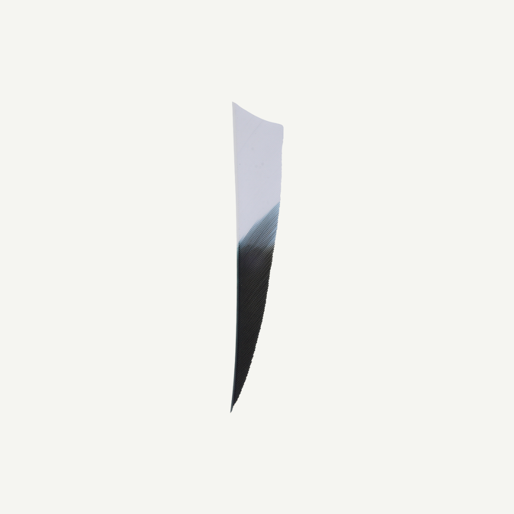 Feather RW Shield 4 inch Bicolor