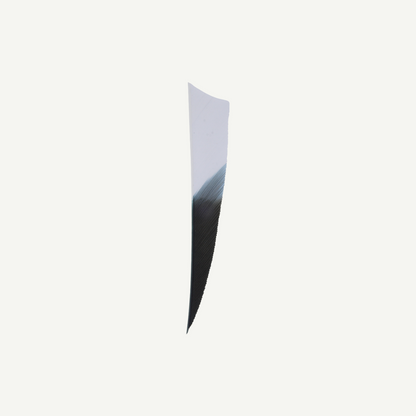 Feather RW Shield 4 inch Bicolor