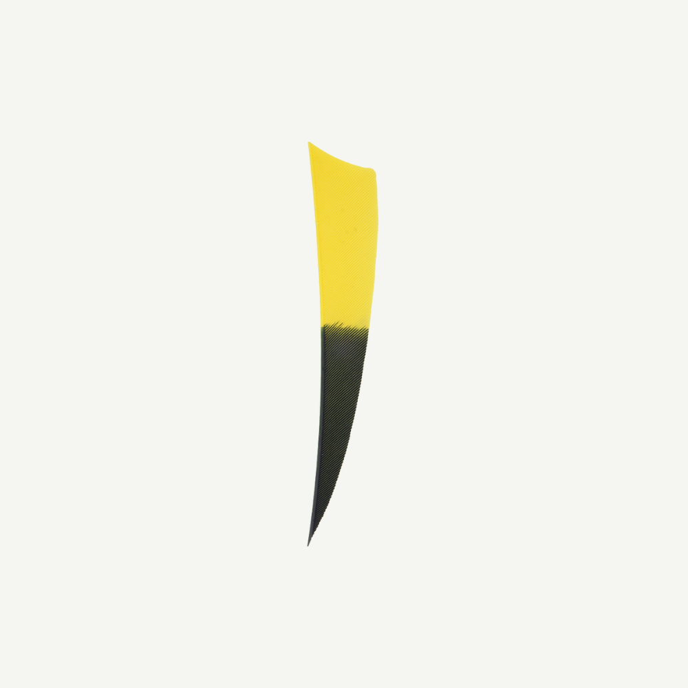 Feather RW Shield 4 inch Bicolor