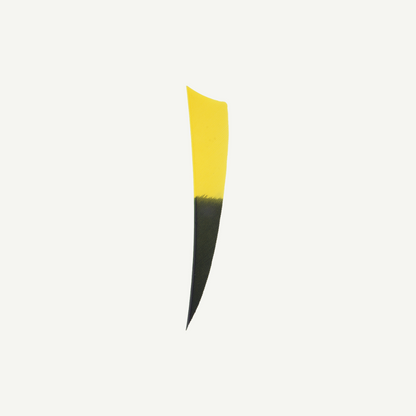 Feather RW Shield 4 inch Bicolor