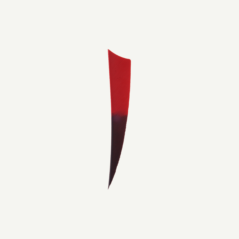 Feather RW Shield 4 inch Bicolor
