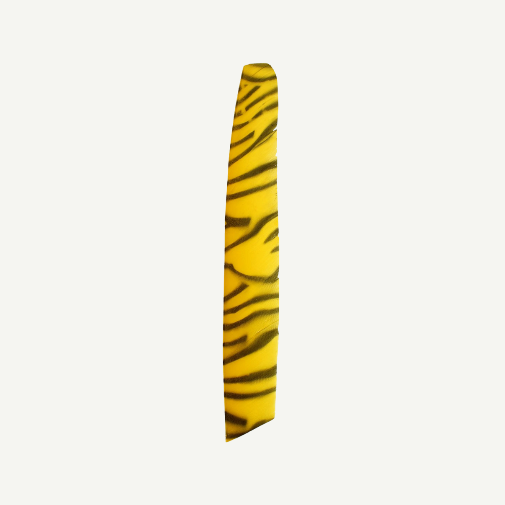 Feather RW Full Length zebra