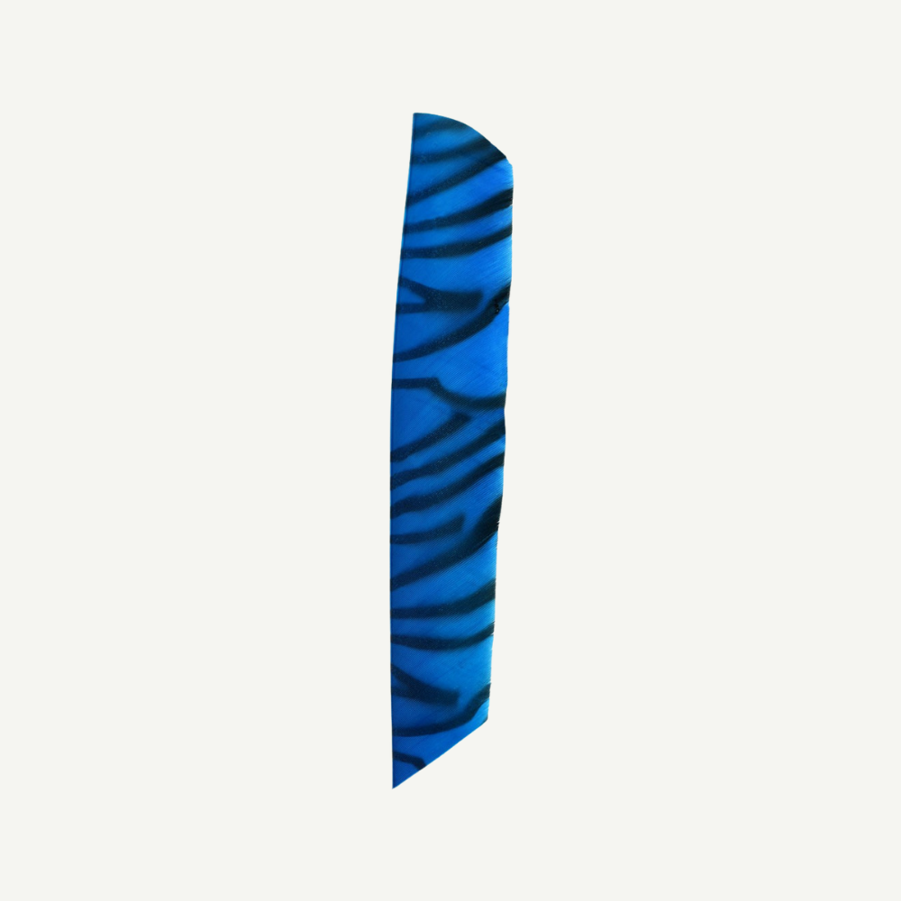 Feather RW Full Length zebra