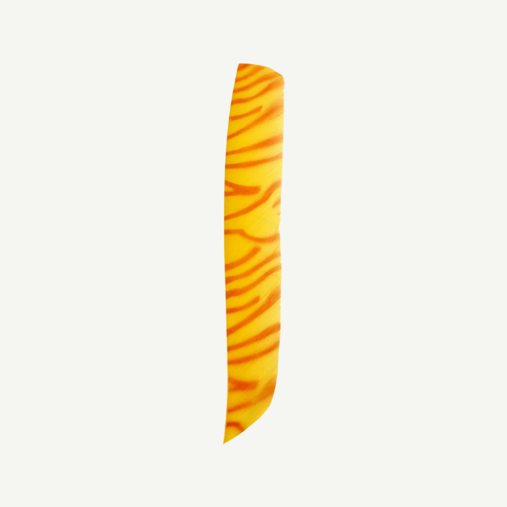 Feather RW Full Length zebra