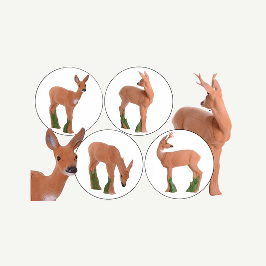 IBB 3D Target Group, with backlooking buck