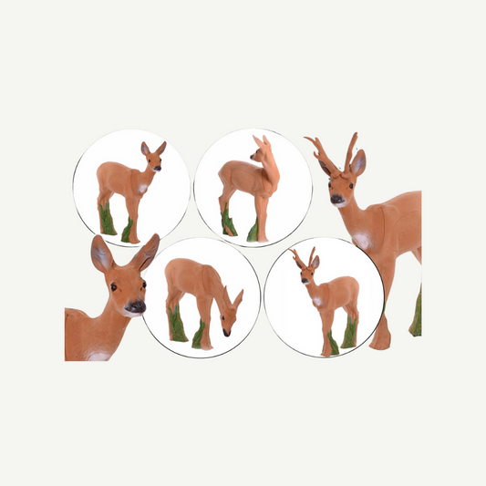 IBB 3D Target roe group with buck