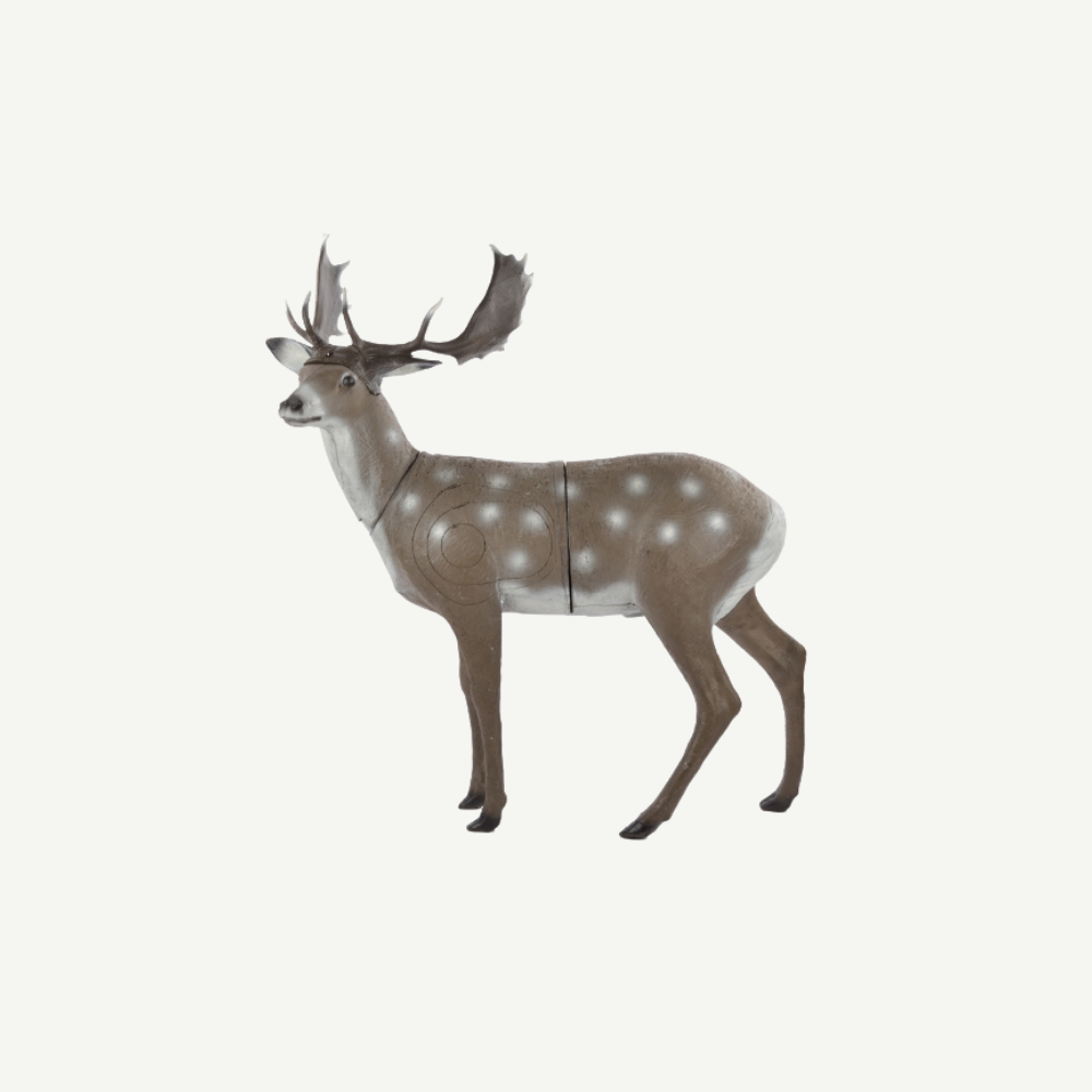 3D Target Franzbogen Standing Fallow Deer