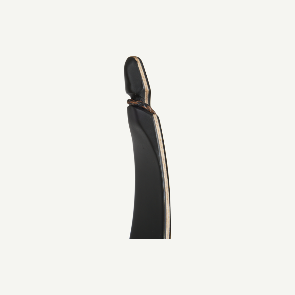 Penthalon Shadow ILF Take Down Recurve Bow